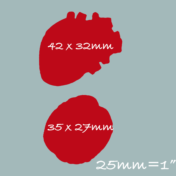 Anatomical Heart & Brain Halloween Silicone Mould by Ellam Sugarcraft